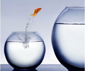 Neues Design